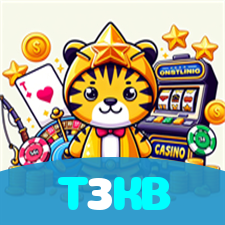 T3KB visual