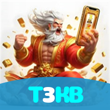 T3KB visual