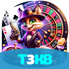 T3KB visual