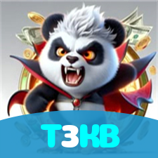 T3KB visual