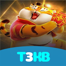 T3KB visual