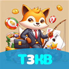 T3KB visual