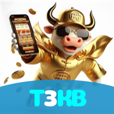 T3KB visual