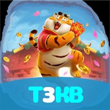 T3KB visual