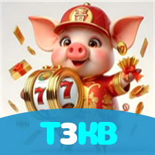 T3KB visual