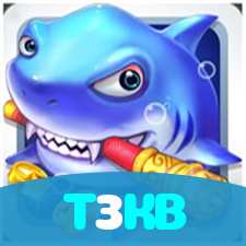 T3KB visual