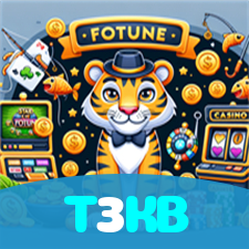 T3KB visual