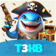 T3KB visual