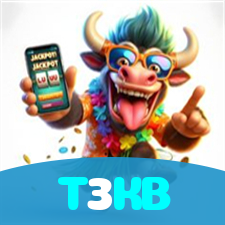 T3KB visual