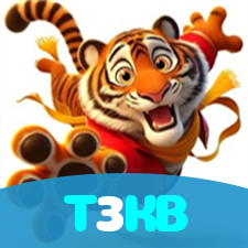 T3KB visual