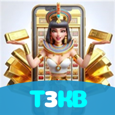 T3KB visual