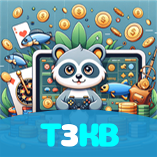 T3KB visual