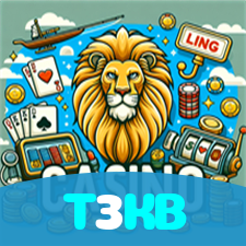 T3KB visual