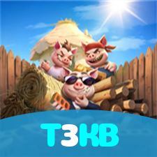 T3KB visual