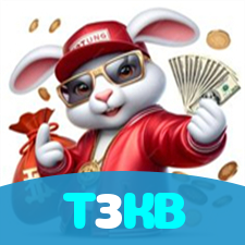 T3KB visual