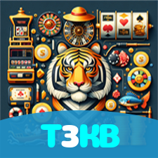 T3KB visual