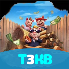 T3KB visual