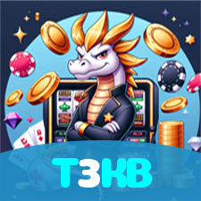 T3KB visual