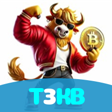 T3KB visual