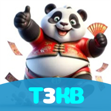 T3KB visual