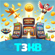 T3KB visual