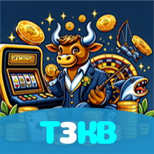 T3KB visual