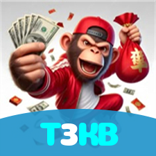 T3KB visual