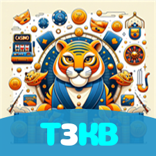 T3KB visual