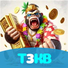 T3KB visual