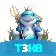 T3KB visual