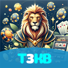 T3KB visual