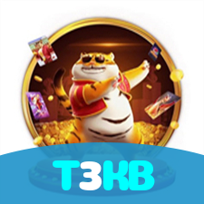 T3KB visual