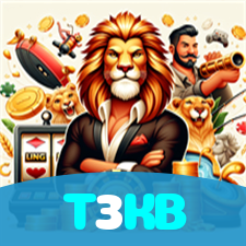 T3KB visual