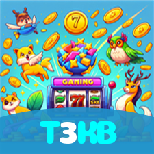 T3KB visual