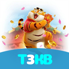T3KB visual