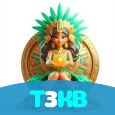 T3KB visual