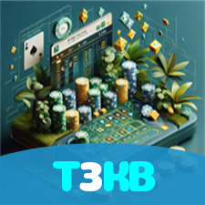 T3KB visual