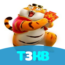 T3KB visual
