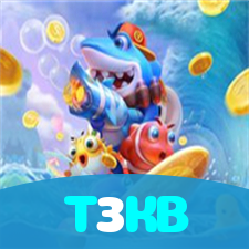 T3KB visual