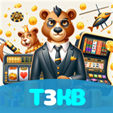 T3KB visual