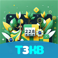 T3KB visual