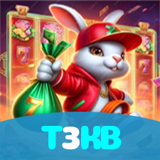 T3KB visual