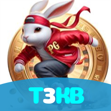 T3KB visual