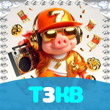 T3KB visual