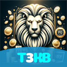 T3KB visual