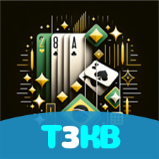 T3KB visual