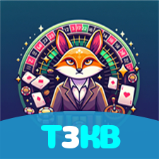 T3KB visual