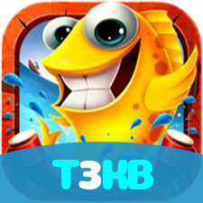 T3KB visual