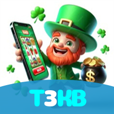 T3KB visual
