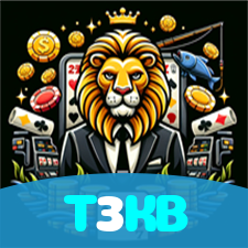 T3KB visual